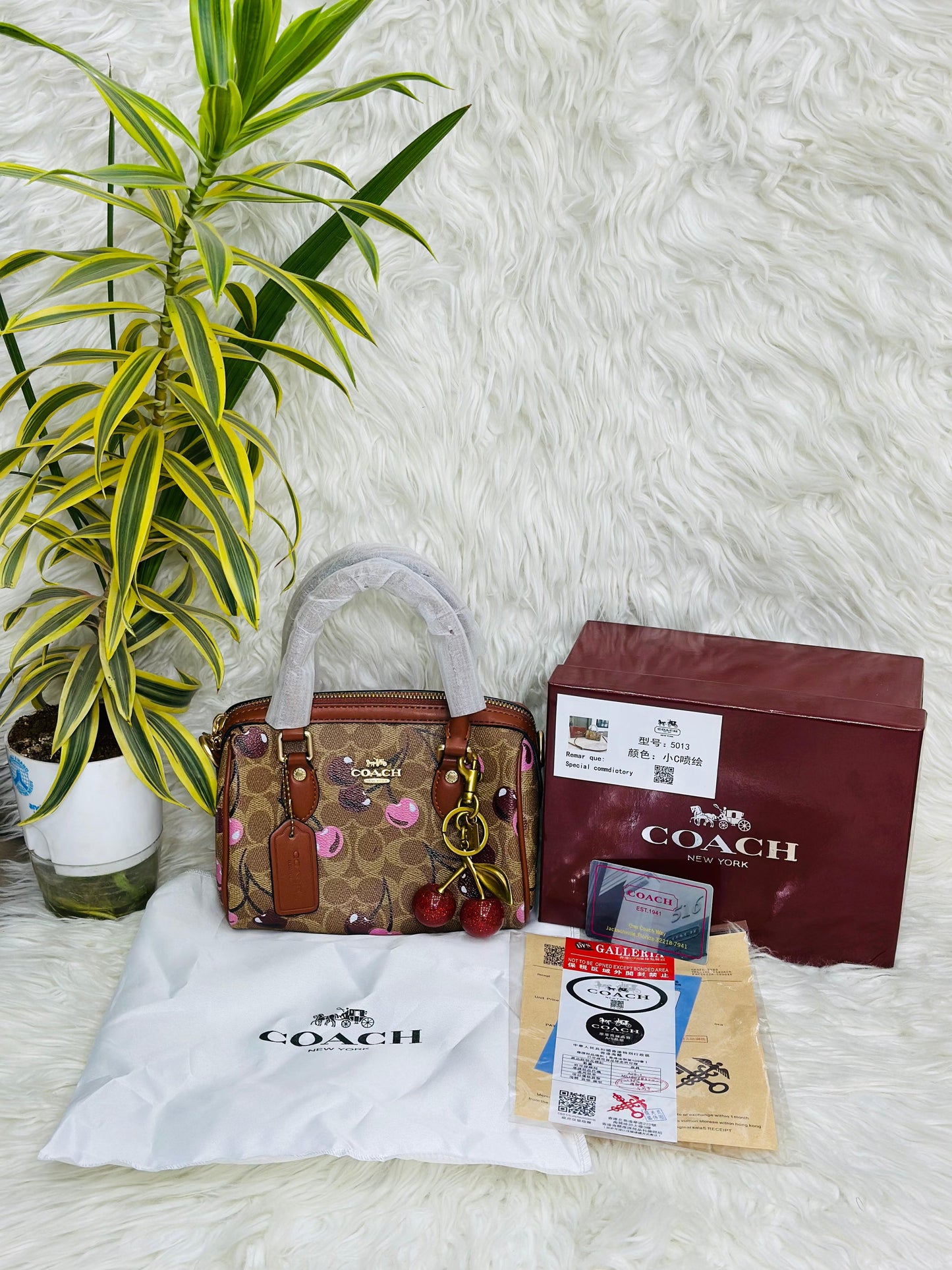 COACH-CHERRY