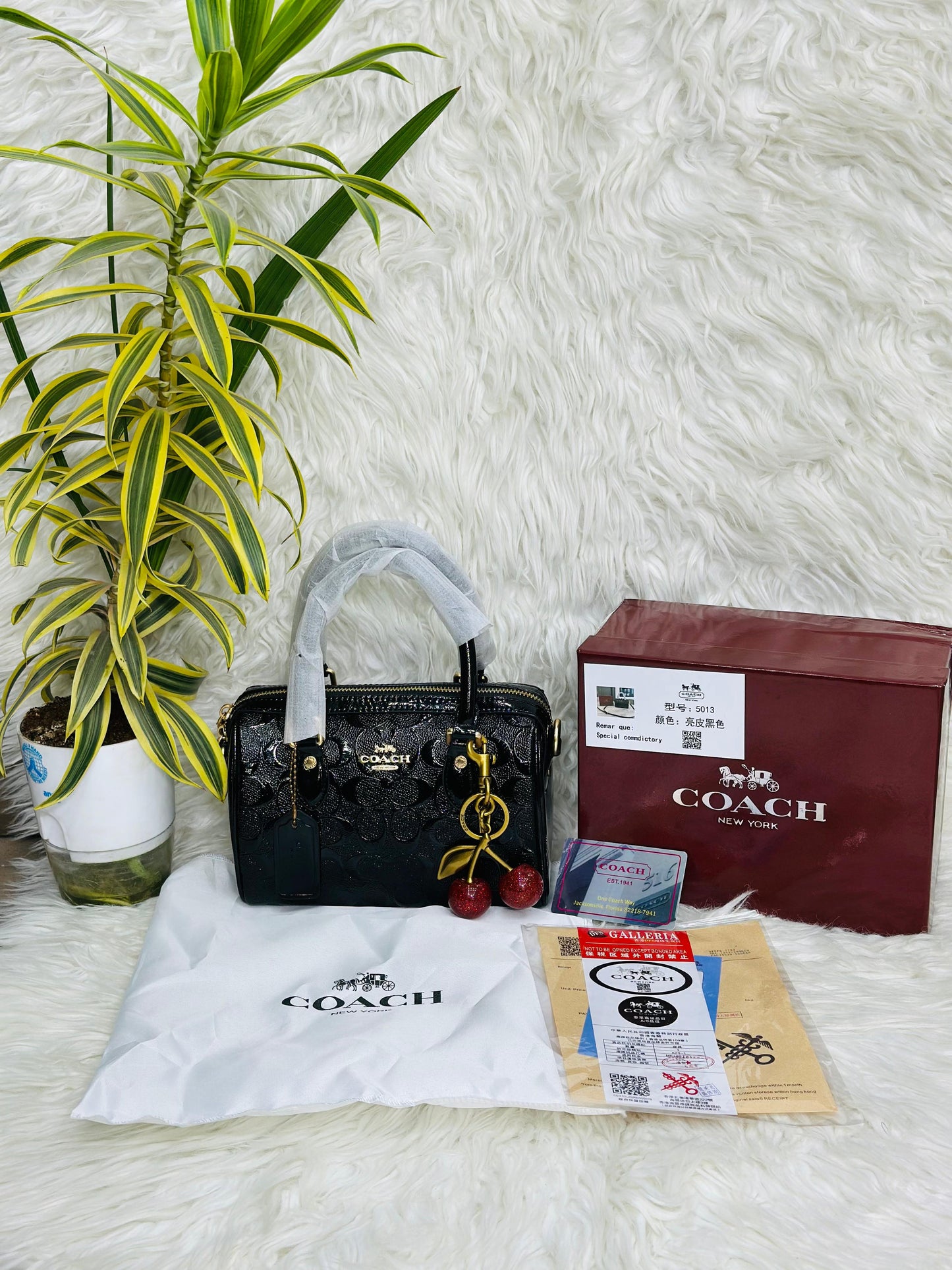 COACH-CHERRY