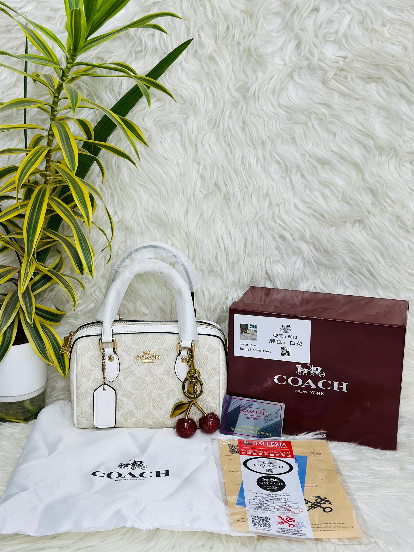 COACH-CHERRY