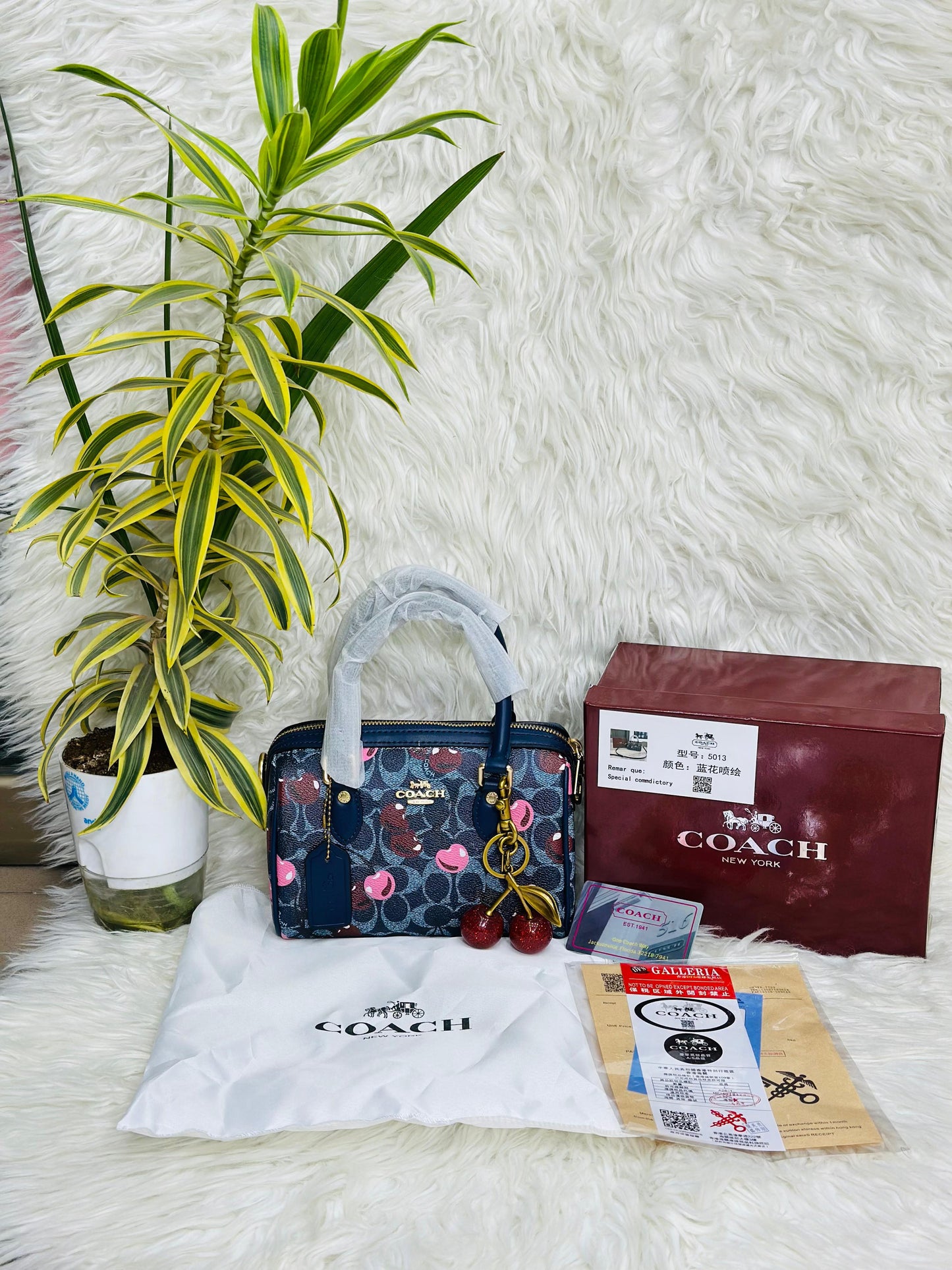 COACH-CHERRY