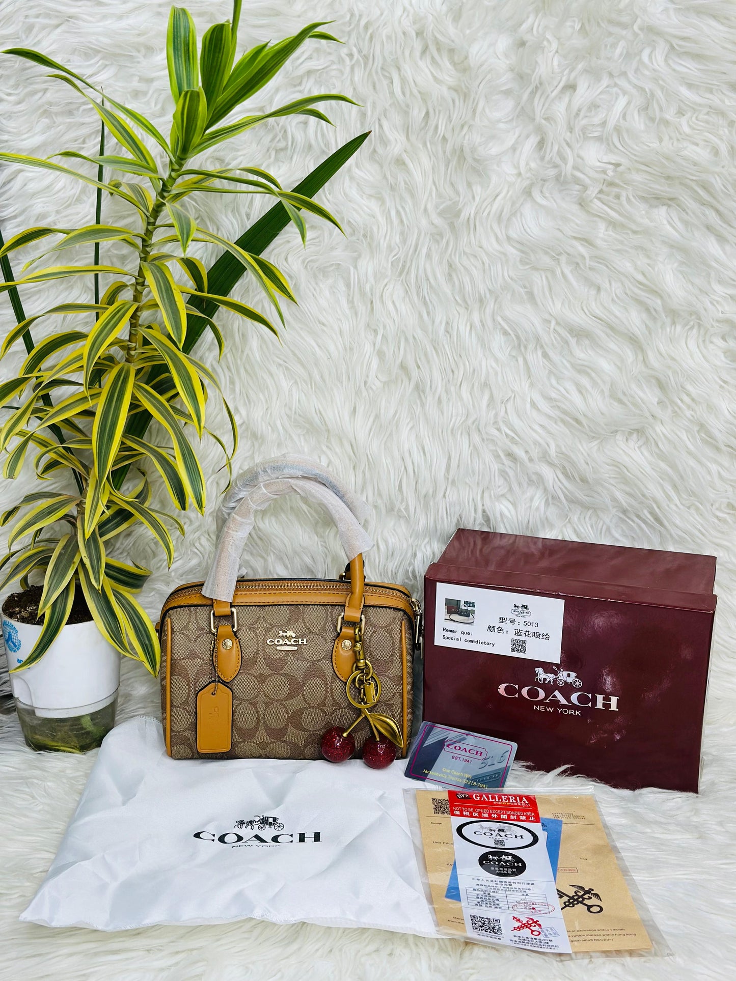 COACH-CHERRY
